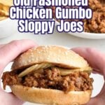 hands holding a sloppy joe with chicken gumbo soup with chips inside.