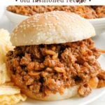 a chicken gumbo sloppy joe on a plate with chips.