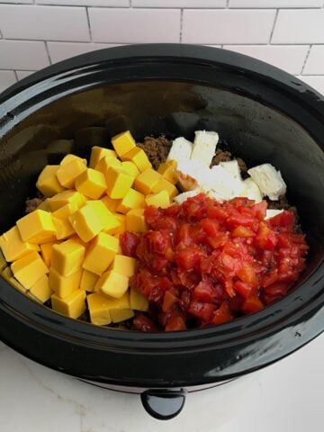 rotel dip ingredients in slow cooker