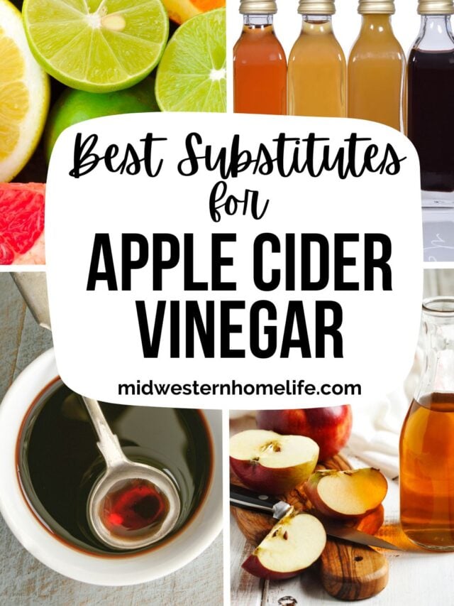 collage of various substitutes for apple cider vinegar