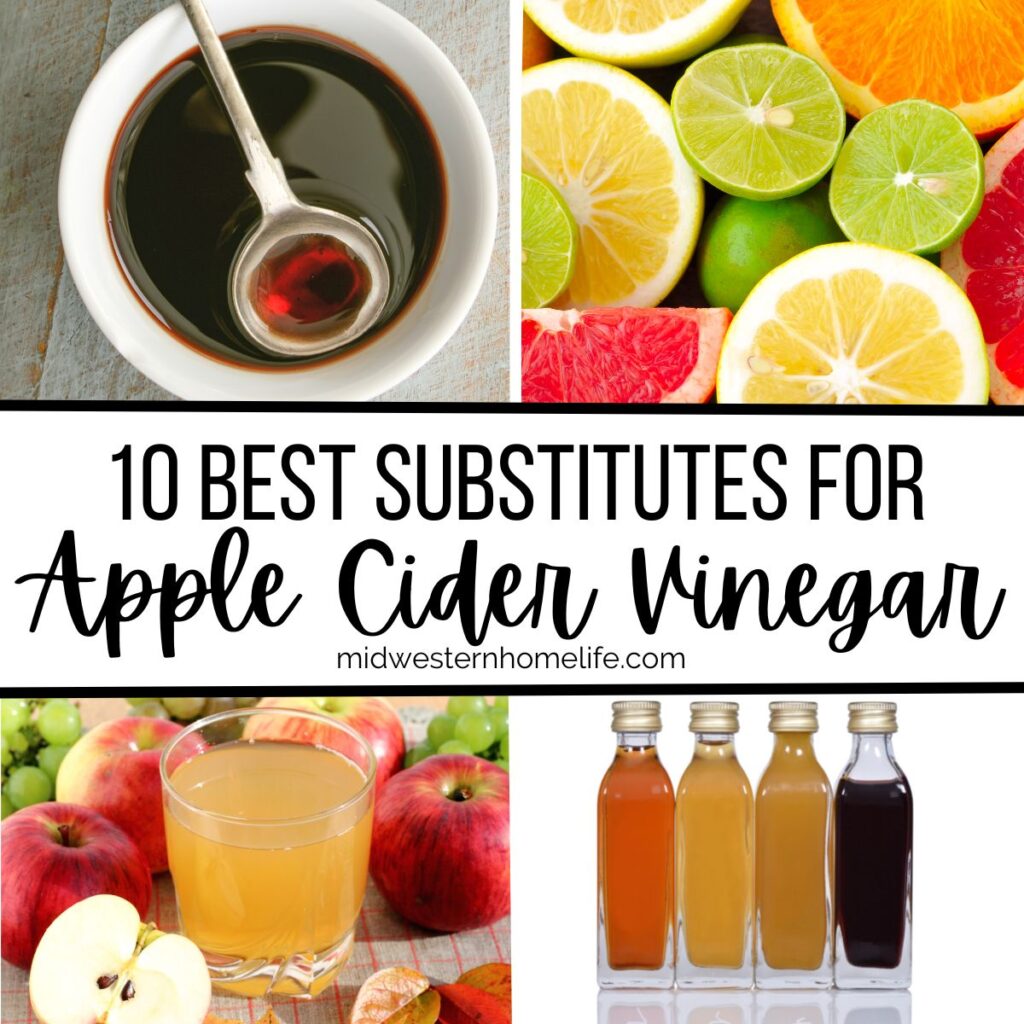 Best Apple Cider Vinegar Substitutes Midwestern HomeLife