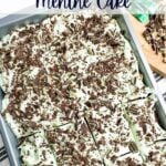 creme de menthe cake in a 9 x 13 pan.