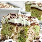 creme de menthe cake on a white plate.