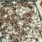 creme de menthe cake in a 9 x 13 pan.