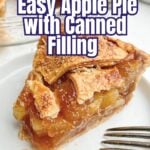 piece of apple pie with canned filling and premade crust on a white plate.