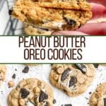 photos of peanut butter cookies with oreos on parchment and a hand holding two halves of a peanut butter oreo cookie.
