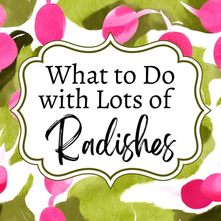 watercolor of radishes with title what to do with lots of radishes.