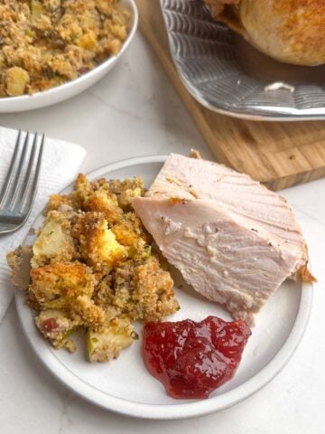 turkey, stuffing, and cranberries on a white plate.