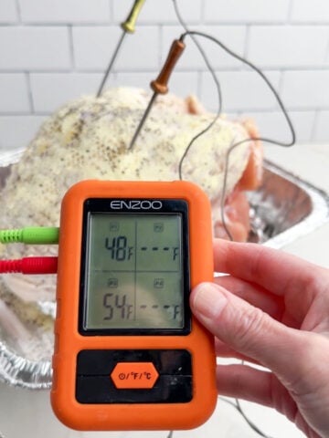 hand holding a probe thermometer in front of a turkey breast in a foil roasting pan.