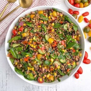 corn and wild rice salad in a white bowl.
